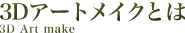 ３Dアートメイクとは