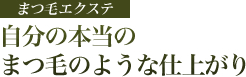 自分の本当のまつ毛のような仕上がり