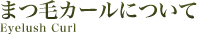 まつ毛カールについて