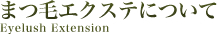 まつ毛エクステについて